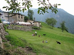 Pusdosso-Festadestate08 037